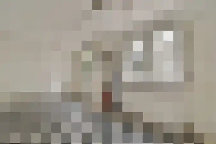 Woestduinstraat 119 1 Amsterdam thumbnail 21