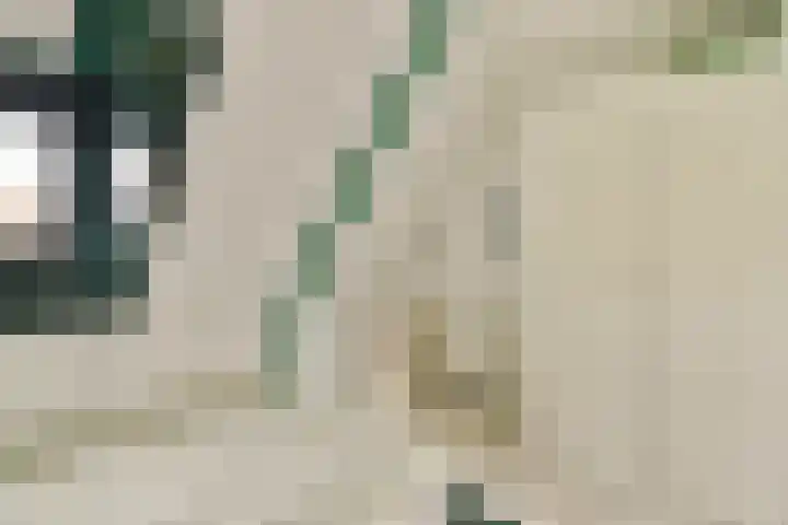 Woestduinstraat 119 1 Amsterdam thumbnail 22