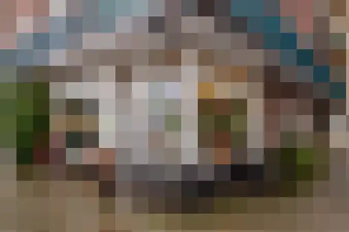 Woestduinstraat 119 1 Amsterdam thumbnail 23