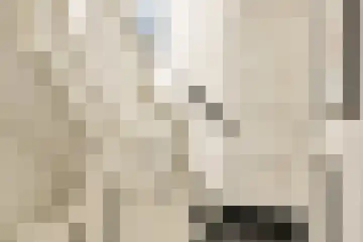 Woestduinstraat 119 1 Amsterdam thumbnail 29