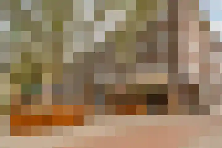Woestduinstraat 119 1 Amsterdam thumbnail 30