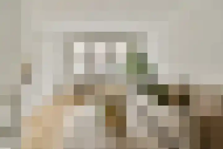 Woestduinstraat 119 1 Amsterdam thumbnail 4