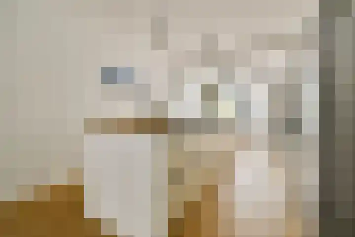 Woestduinstraat 119 1 Amsterdam thumbnail 7