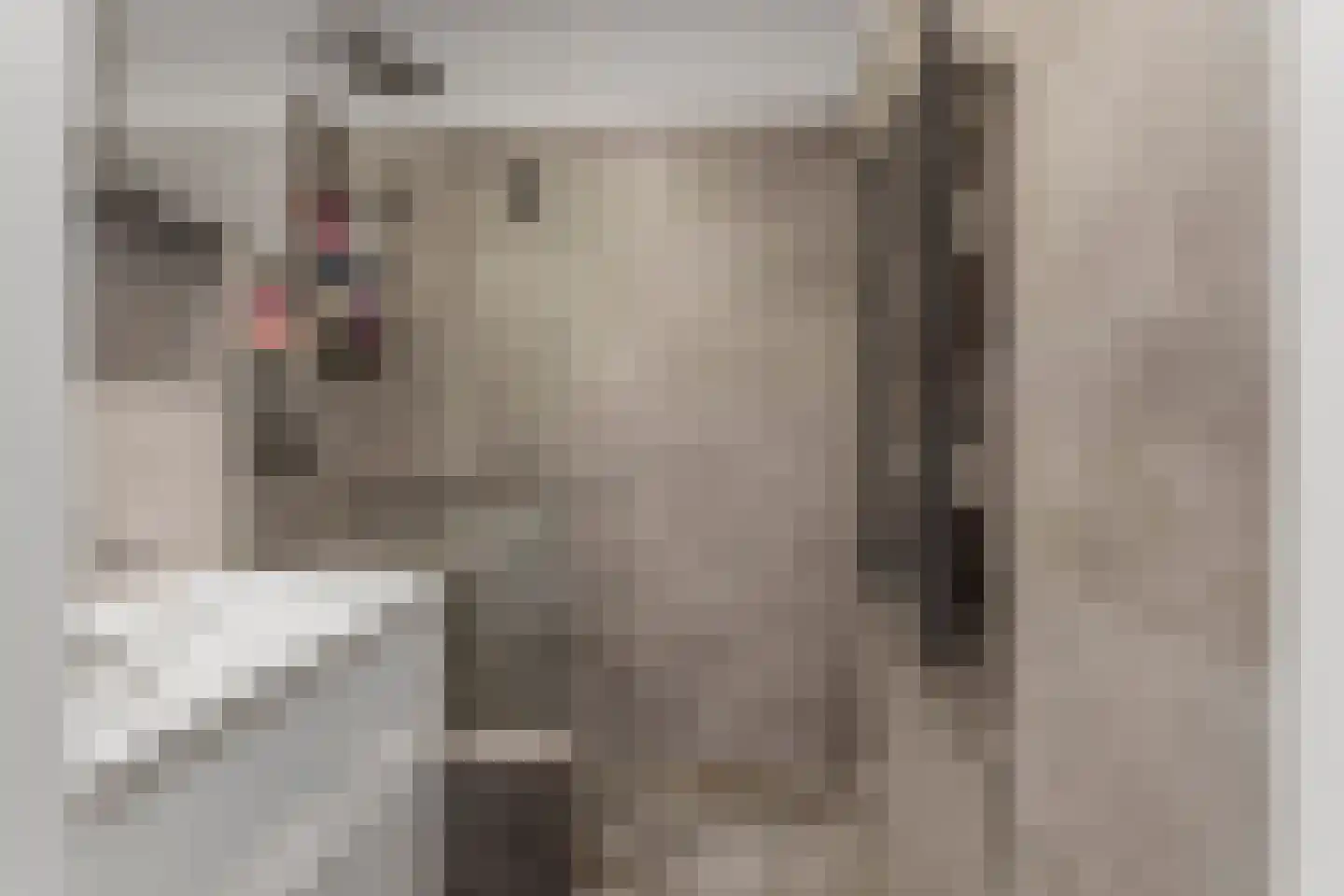Woestduinstraat 120 2 Amsterdam thumbnail 25