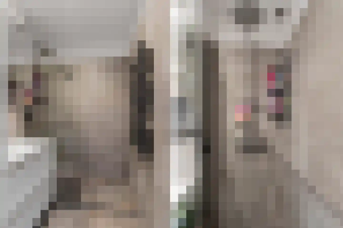 Woestduinstraat 120 2 Amsterdam thumbnail 26