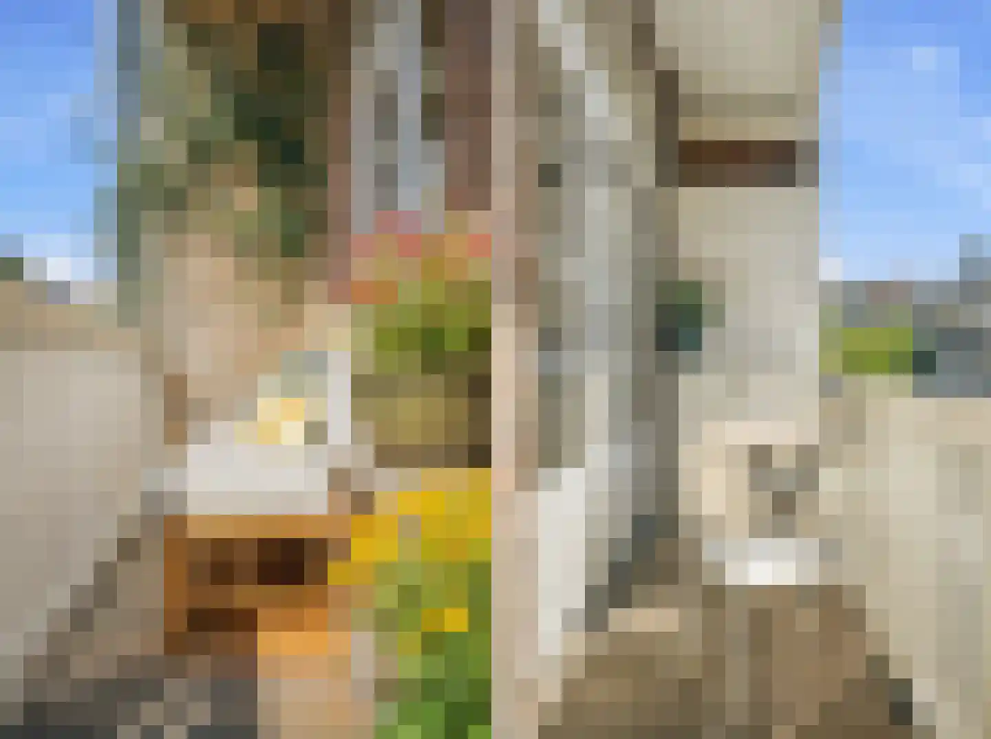 Woestduinstraat 130 1 Amsterdam thumbnail 22