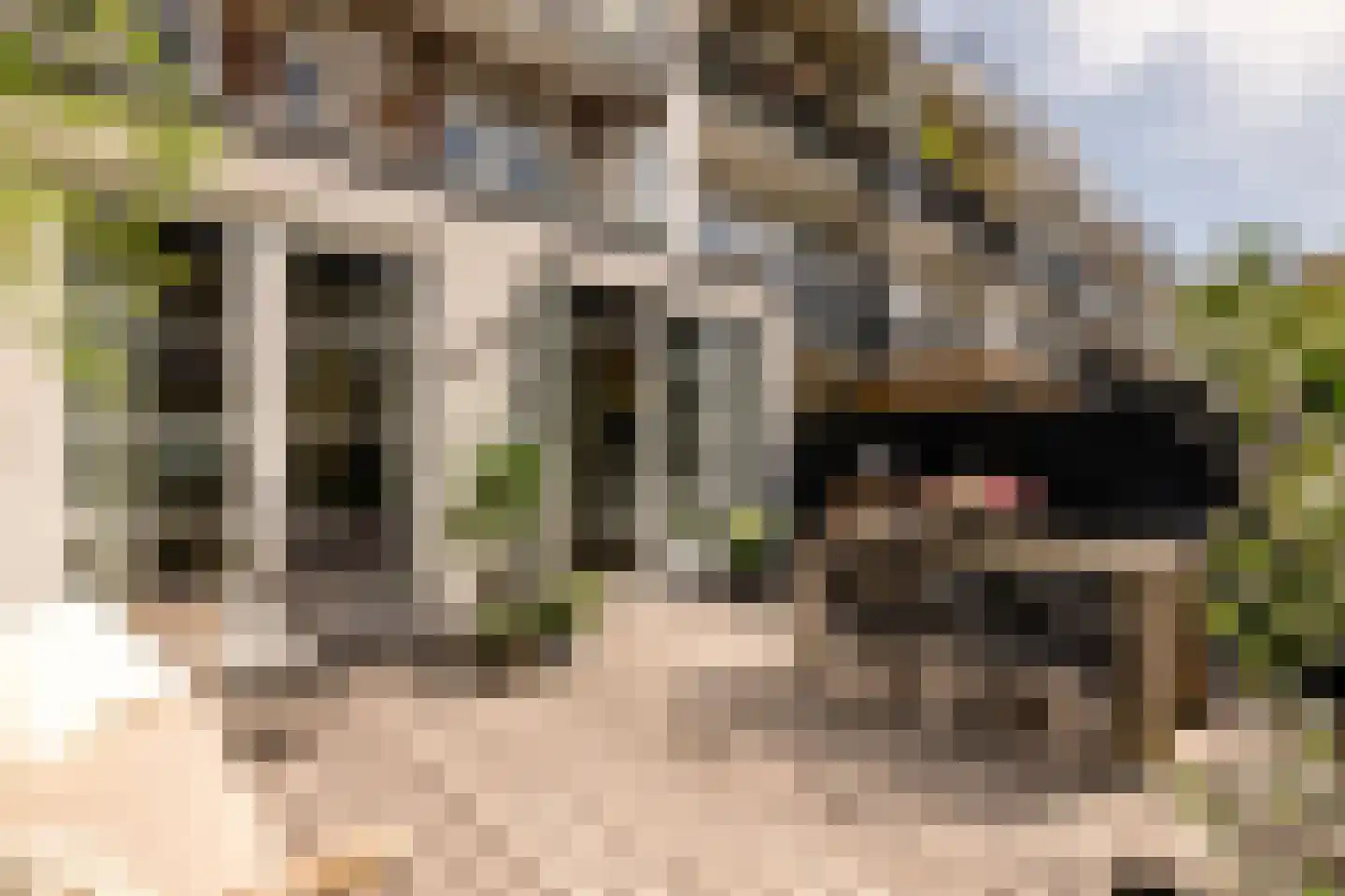 Woestduinstraat 130 H Amsterdam thumbnail 16