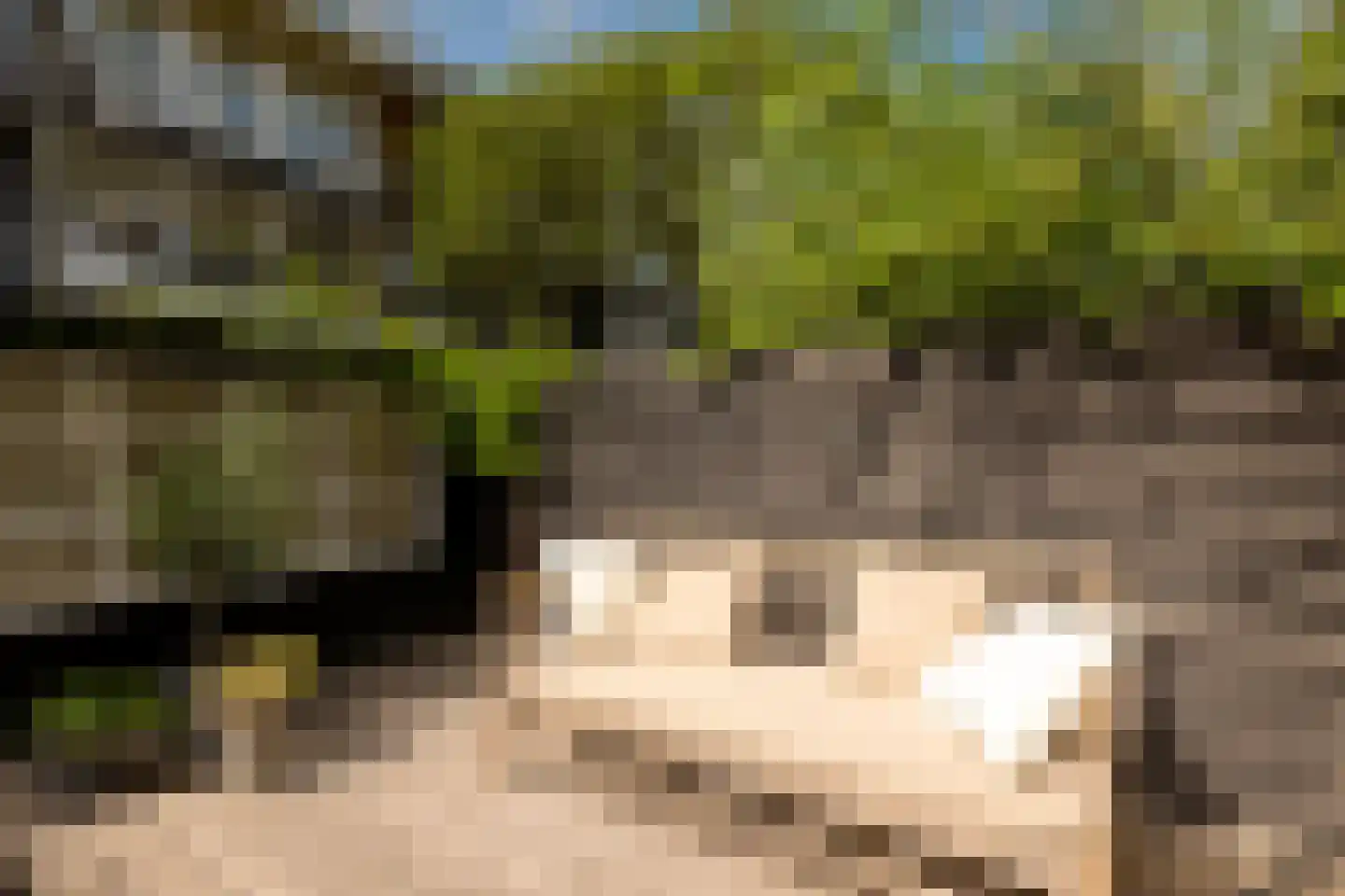 Woestduinstraat 130 H Amsterdam thumbnail 20