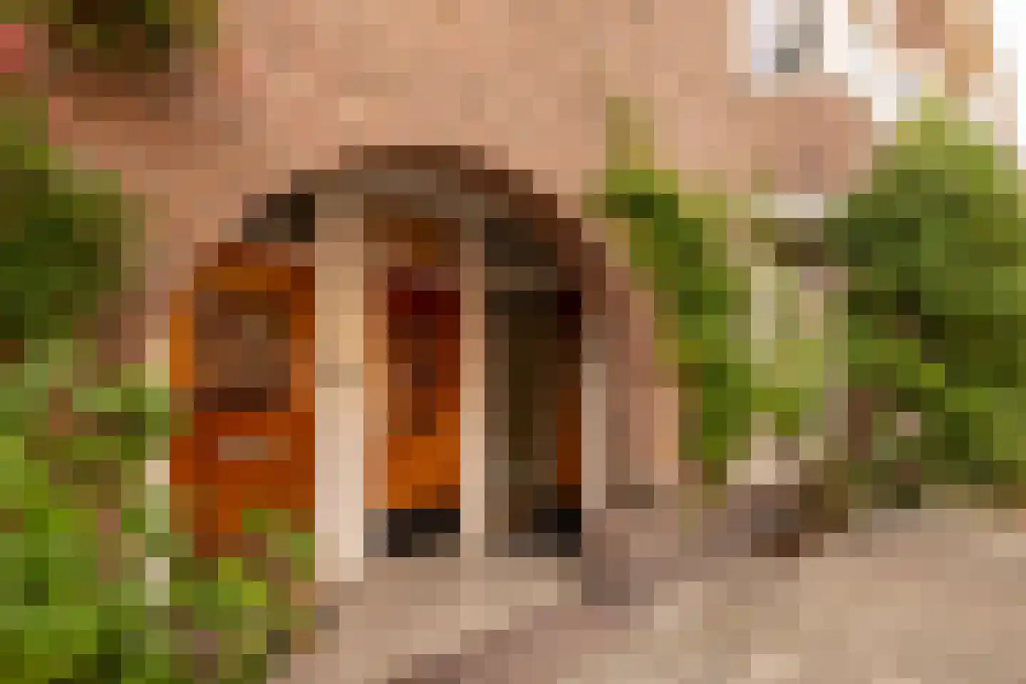 Woestduinstraat 130 H Amsterdam thumbnail 32