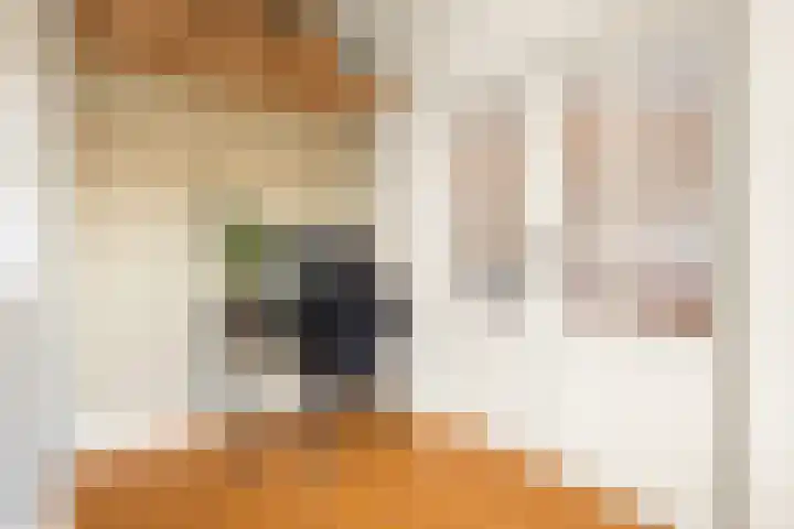 Woestduinstraat 142 1 Amsterdam thumbnail 10