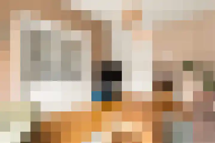 Woestduinstraat 142 1 Amsterdam thumbnail 12