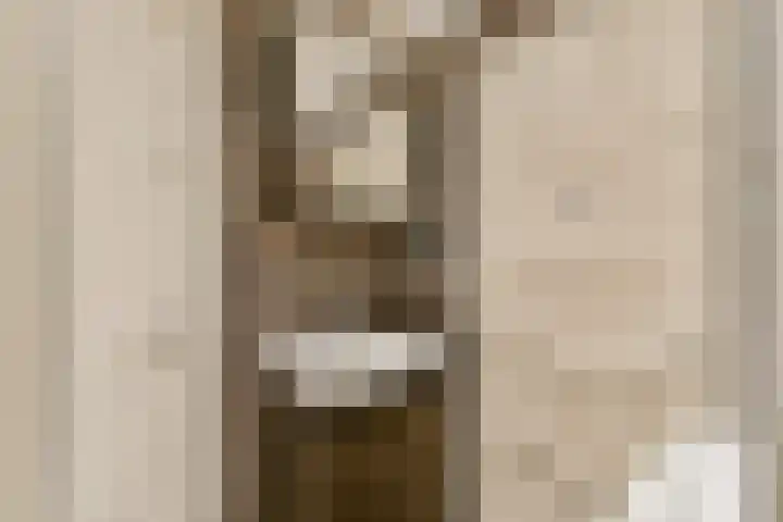 Woestduinstraat 142 1 Amsterdam thumbnail 14