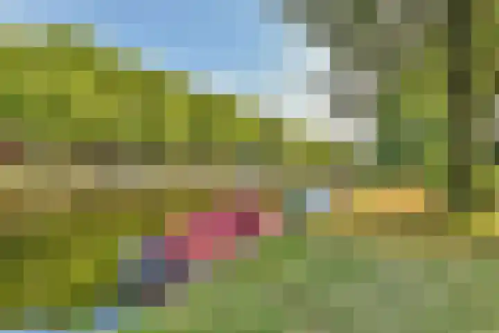 Woestduinstraat 142 1 Amsterdam thumbnail 18