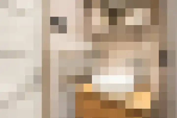 Woestduinstraat 142 1 Amsterdam thumbnail 24