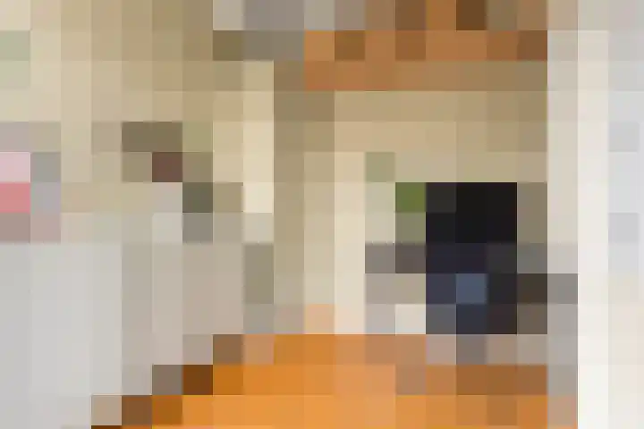 Woestduinstraat 142 1 Amsterdam thumbnail 8