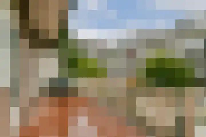 Woestduinstraat 142 1 Amsterdam thumbnail 8