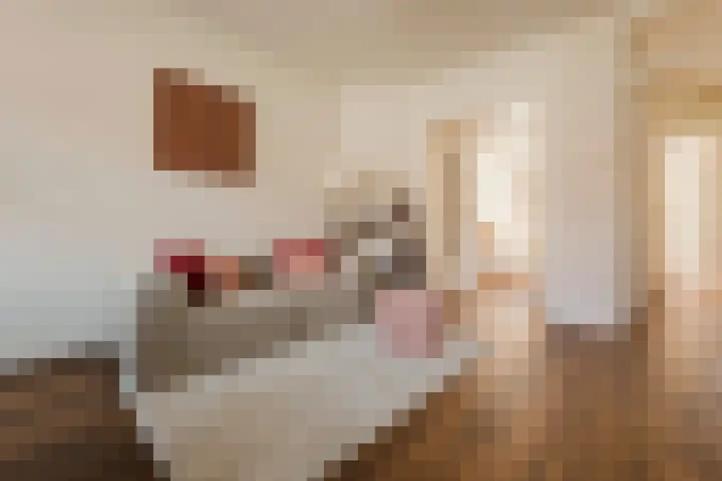 Woestduinstraat 143 1 Amsterdam thumbnail 13