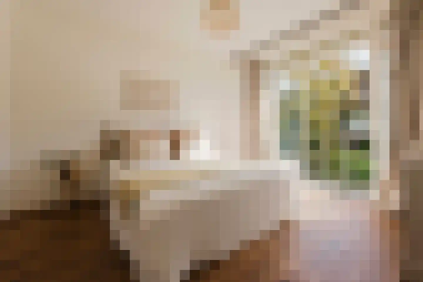 Woestduinstraat 143 1 Amsterdam thumbnail 16