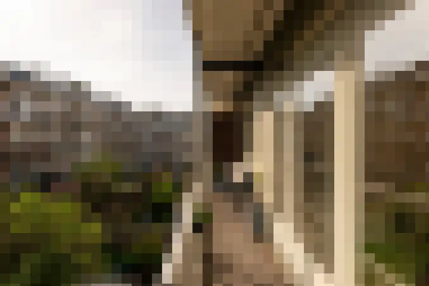 Woestduinstraat 143 1 Amsterdam thumbnail 18