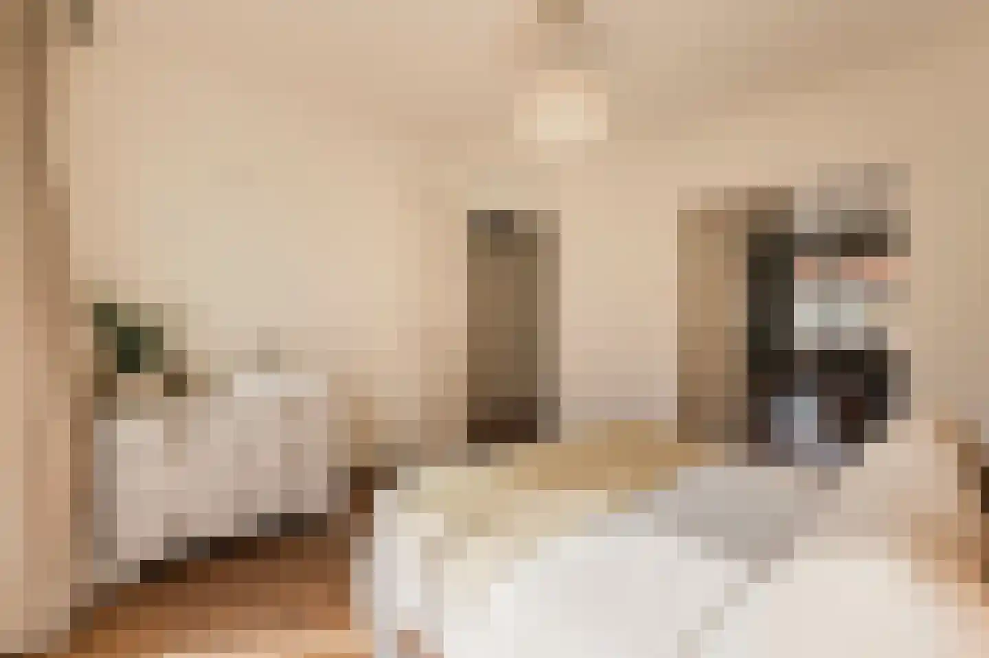 Woestduinstraat 143 1 Amsterdam thumbnail 21
