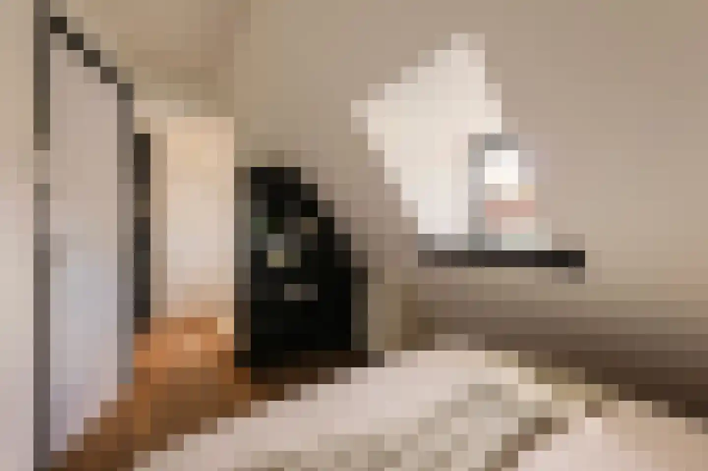 Woestduinstraat 143 1 Amsterdam thumbnail 28