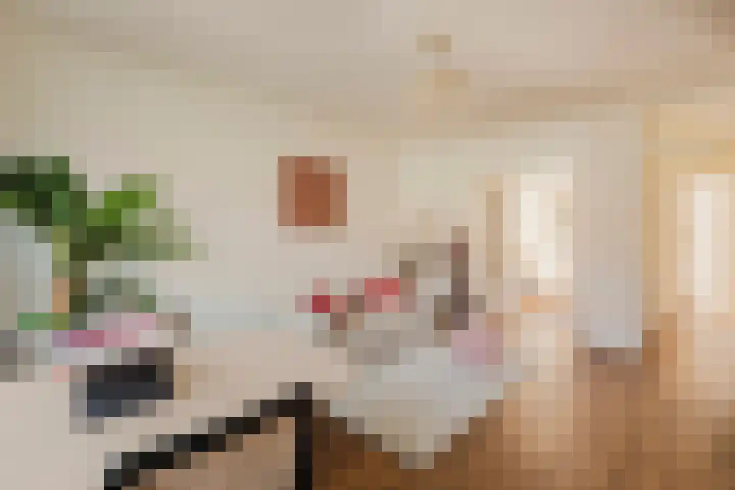 Woestduinstraat 143 1 Amsterdam thumbnail 6
