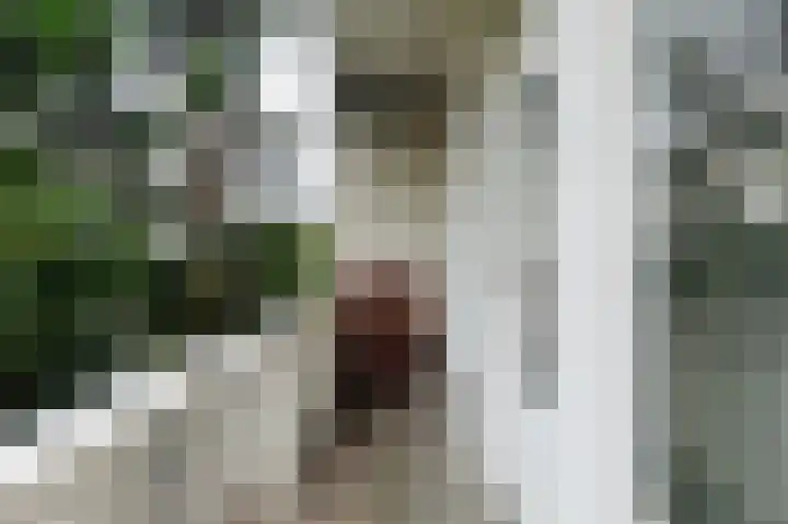 Woestduinstraat 146 H Amsterdam thumbnail 14