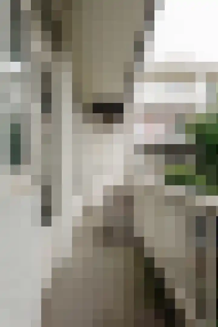 Woestduinstraat 146 H Amsterdam thumbnail 15