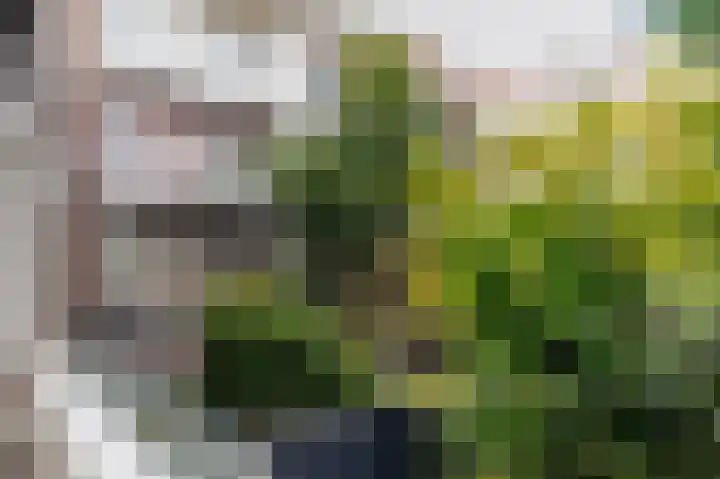 Woestduinstraat 146 H Amsterdam thumbnail 16