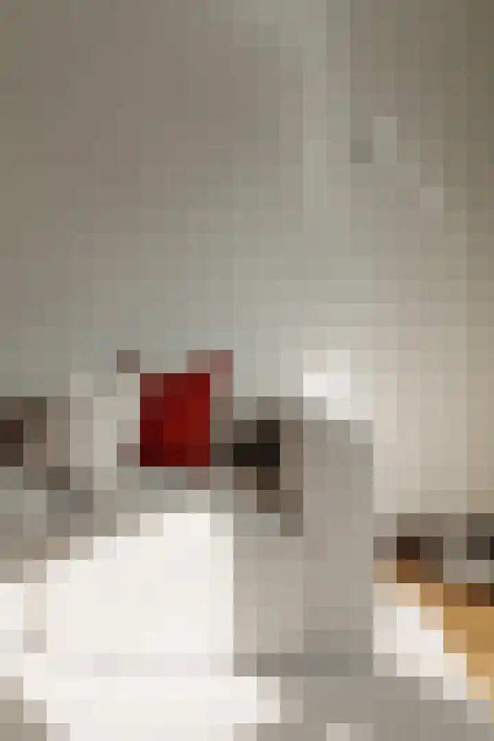 Woestduinstraat 146 H Amsterdam thumbnail 6