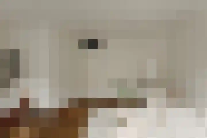 Woestduinstraat 146 H Amsterdam thumbnail 8