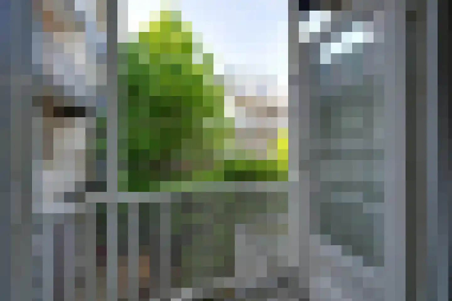 Woestduinstraat 152 1 Amsterdam thumbnail 27