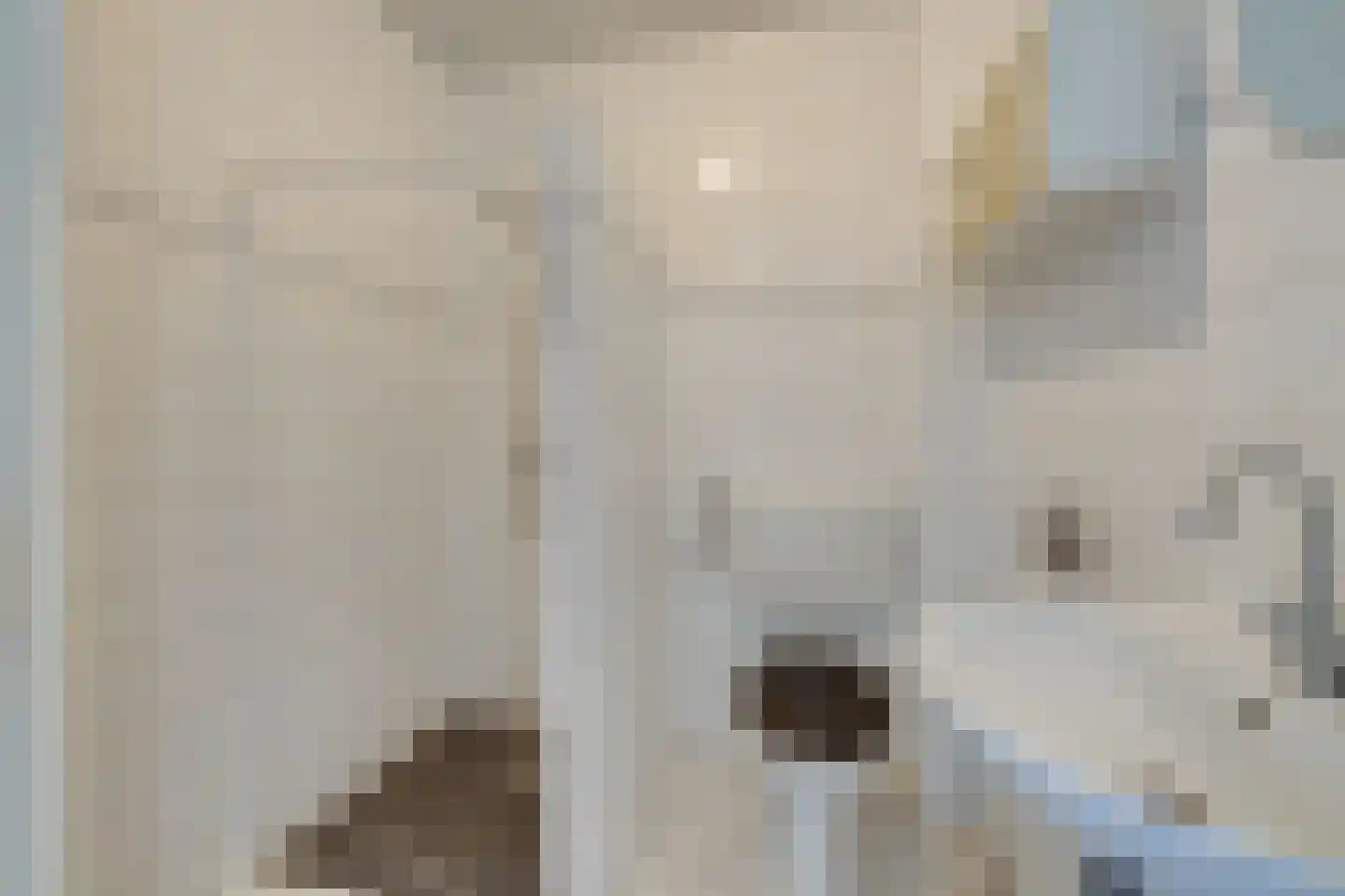 Woestduinstraat 152 1 Amsterdam thumbnail 30