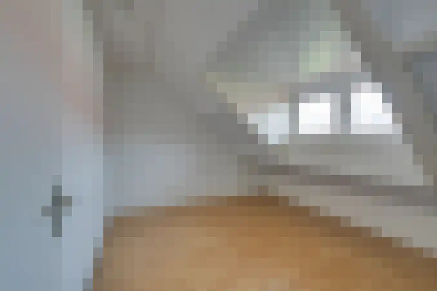 Woestduinstraat 152 1 Amsterdam thumbnail 33