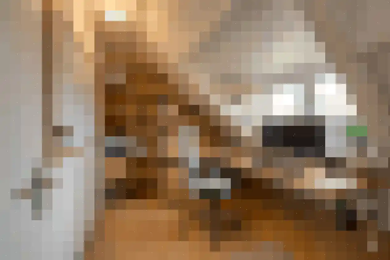 Woestduinstraat 152 1 Amsterdam thumbnail 4
