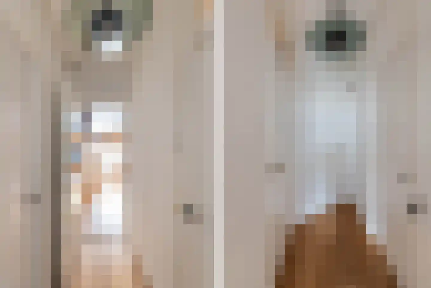 Woestduinstraat 154 2 Amsterdam thumbnail 17