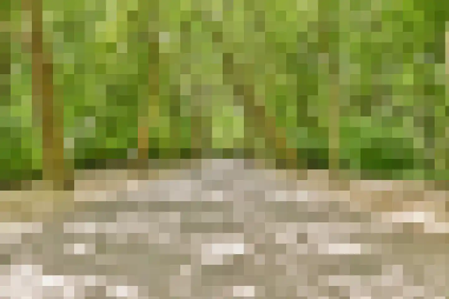 Woestduinstraat 16 G Amsterdam thumbnail 27