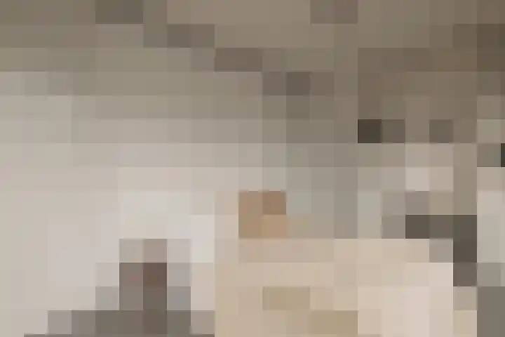 Woestduinstraat 16 K Amsterdam thumbnail 10