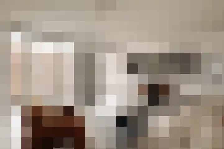 Woestduinstraat 16 K Amsterdam thumbnail 11