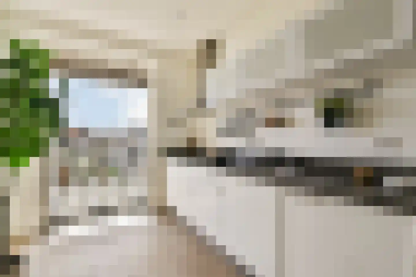 Woestduinstraat 16 L Amsterdam thumbnail 4