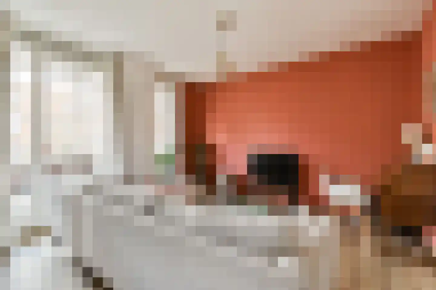 Woestduinstraat 16 L Amsterdam thumbnail 6
