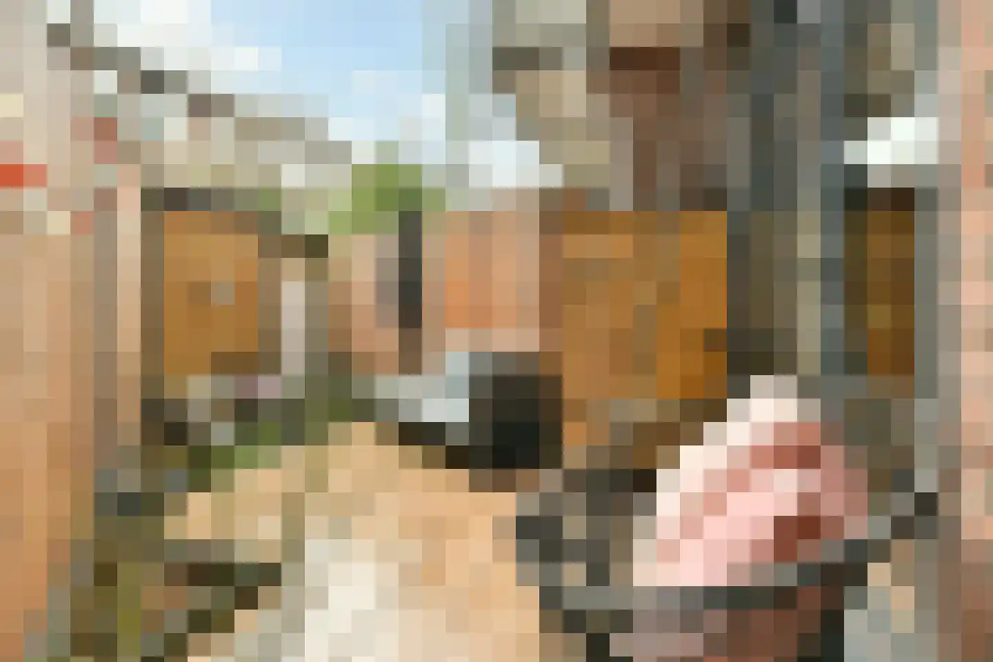 Woestduinstraat 17 2 Amsterdam thumbnail 13
