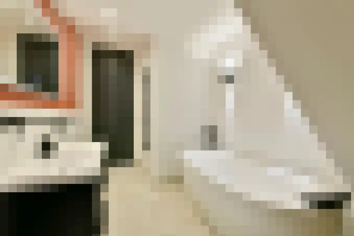 Woestduinstraat 17 2 Amsterdam thumbnail 18