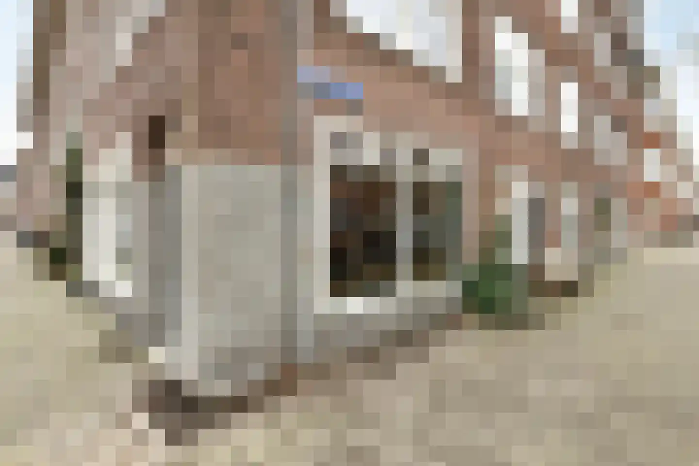 Woestduinstraat 17 2 Amsterdam thumbnail 25