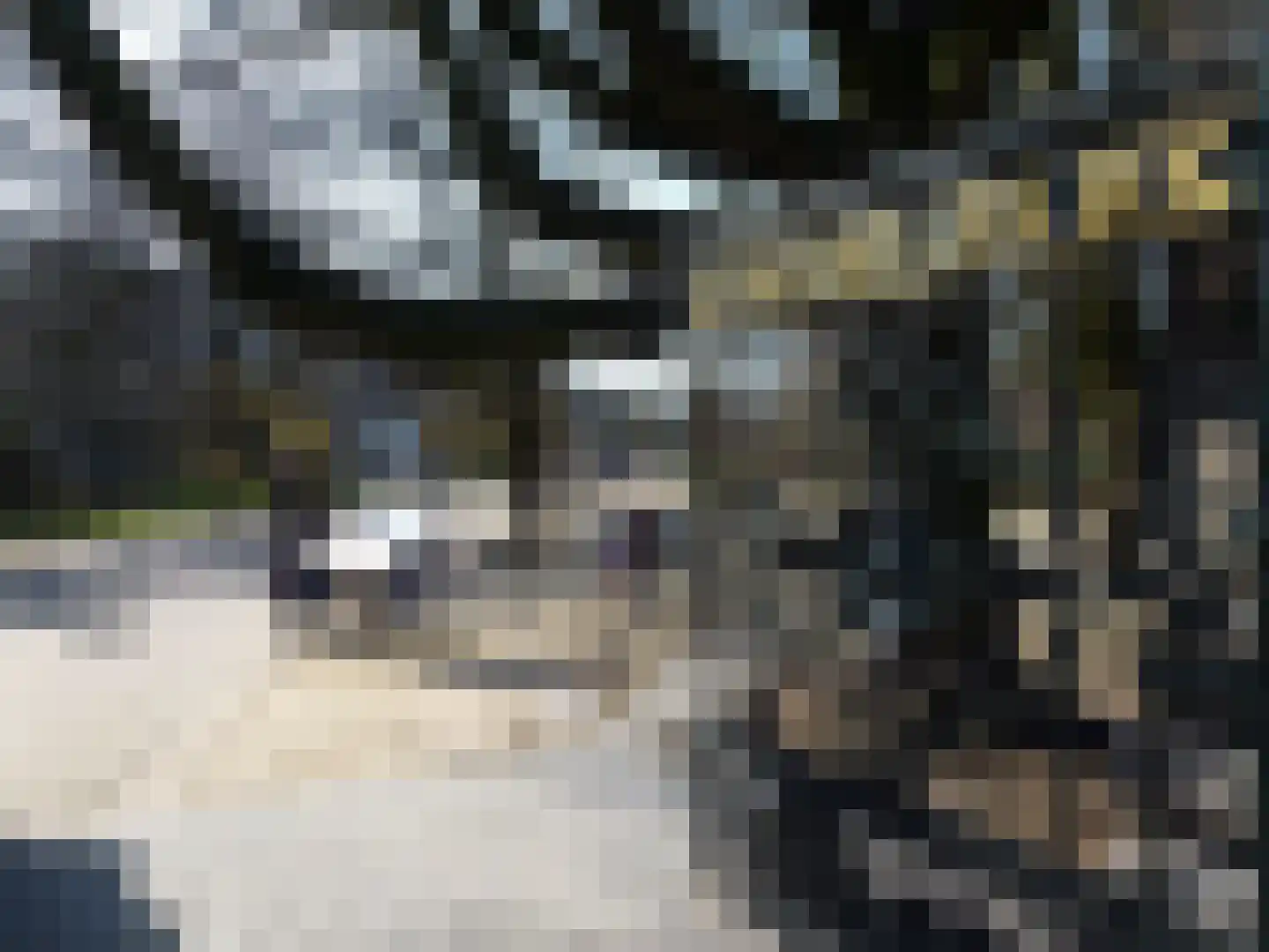 Woestduinstraat 17 2 Amsterdam thumbnail 26