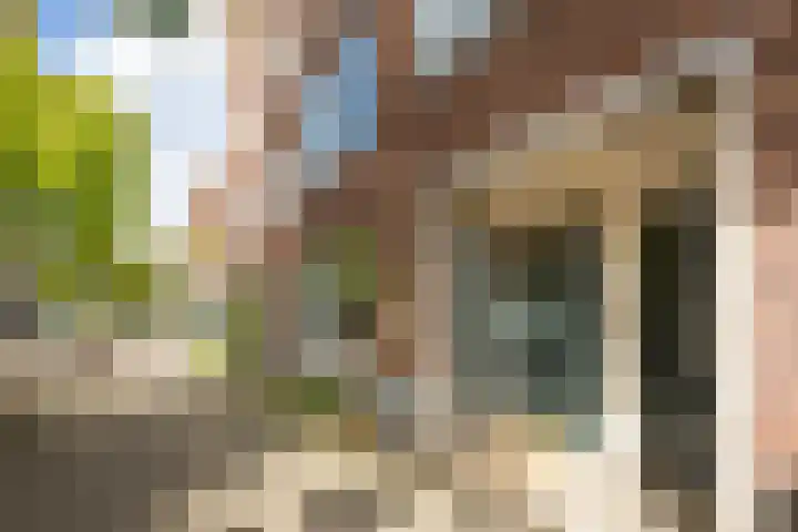 Woestduinstraat 17 H Amsterdam thumbnail 18