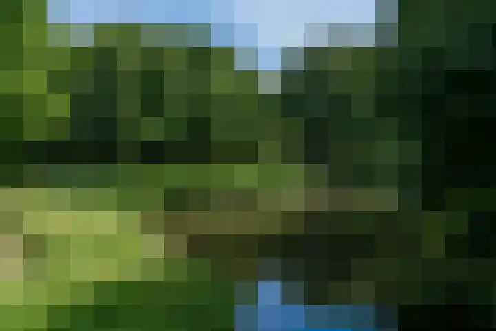Woestduinstraat 17 H Amsterdam thumbnail 25