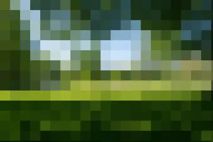 Woestduinstraat 17 H Amsterdam thumbnail 26