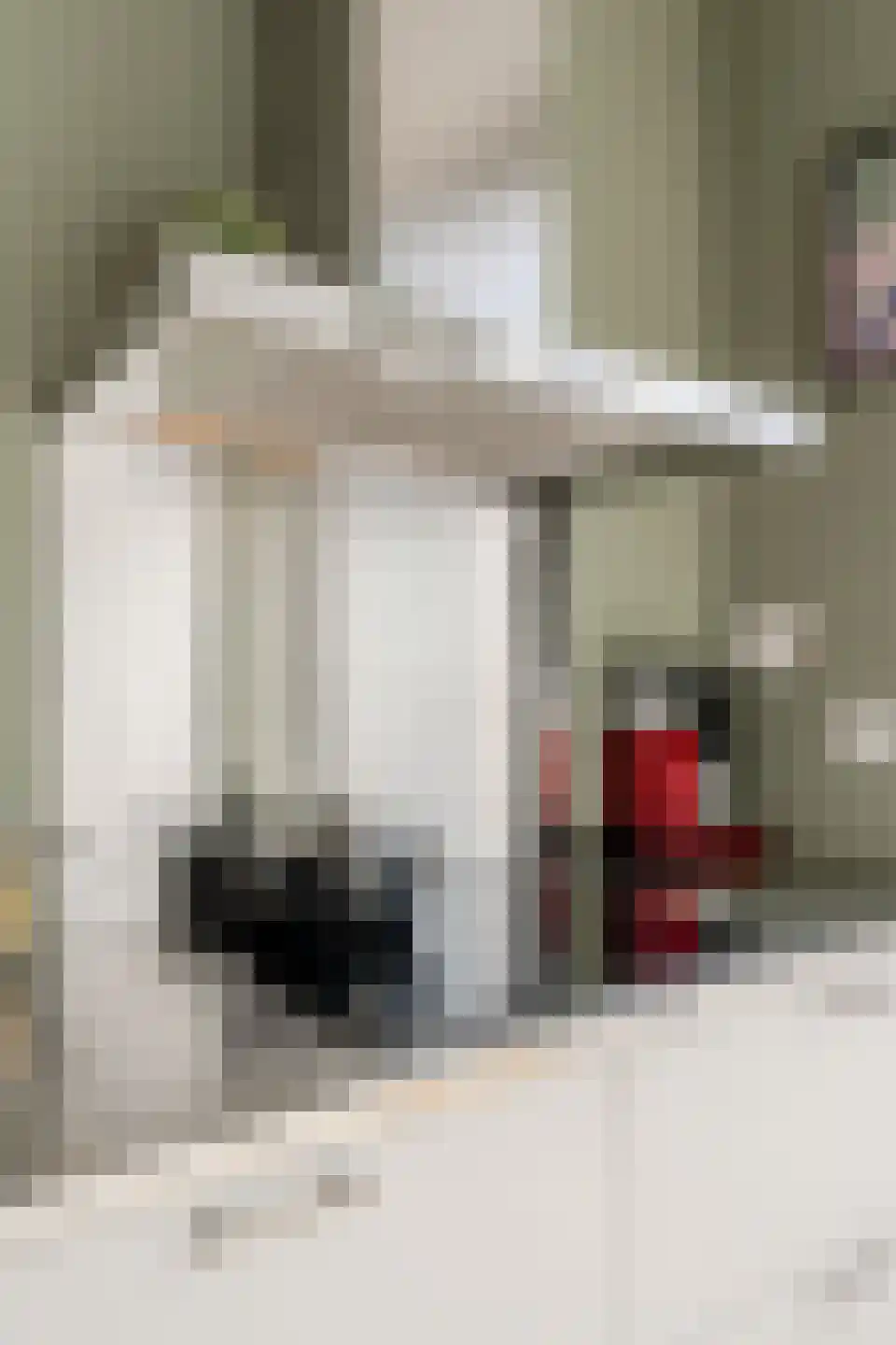 Woestduinstraat 18 H Amsterdam thumbnail 26