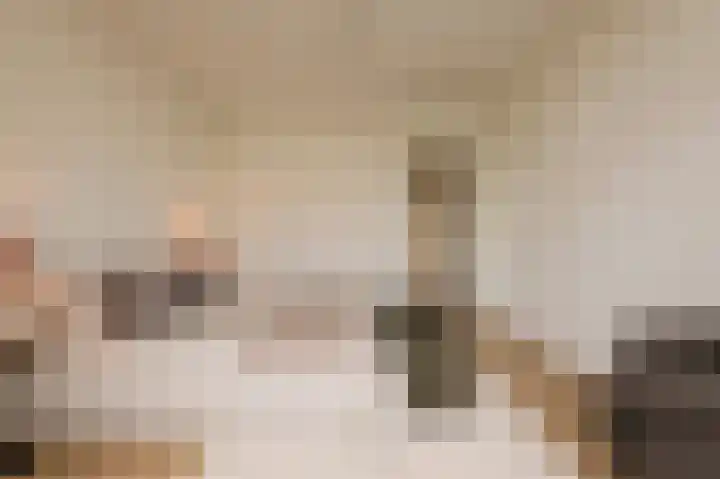 Woestduinstraat 21 2 Amsterdam thumbnail 11